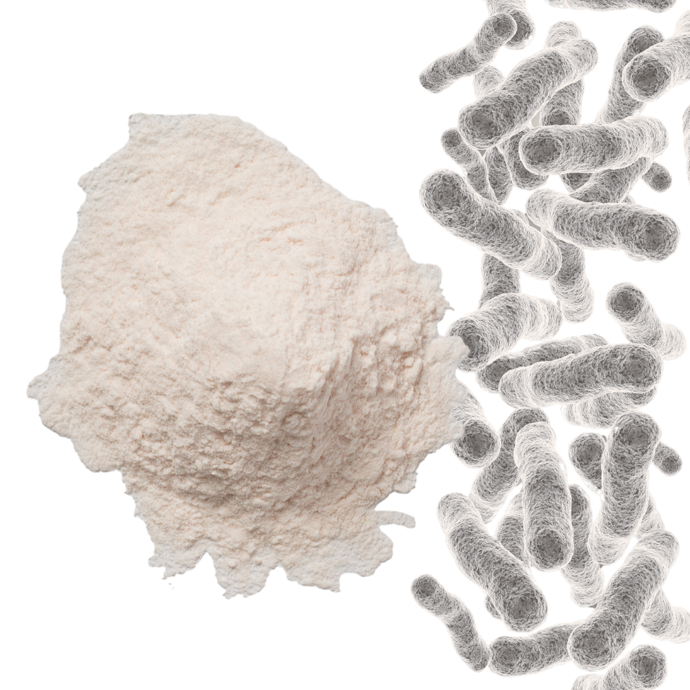 AB INTRA Contact - Gutbiotica PRIME Key Features image with powder and Bifidobacterium