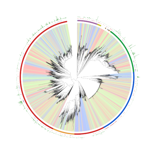 Human microbiome co-evolution - Phylogenetic tree illustrating the genomic diversity of the human gut microbiota, adapted from Almeida et al., Nature 2019.
