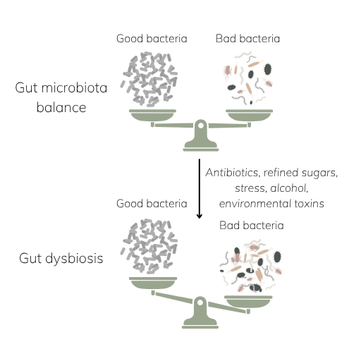 Weighing scale illustration showing balanced gut microbiota versus dysbiosis, with external factors like antibiotics, sugar, stress, alcohol, and toxins tipping the balance.