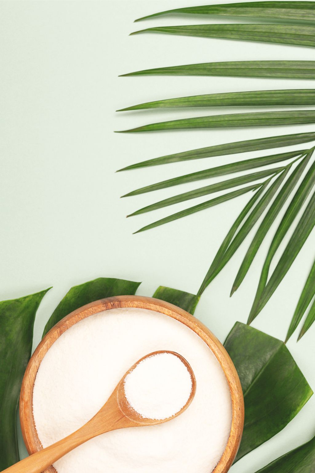 Fibersentials, fiber supplements for gut health