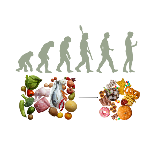 Human evolution sequence ending with a modern figure holding unhealthy processed food, contrasting with ancestral diets.